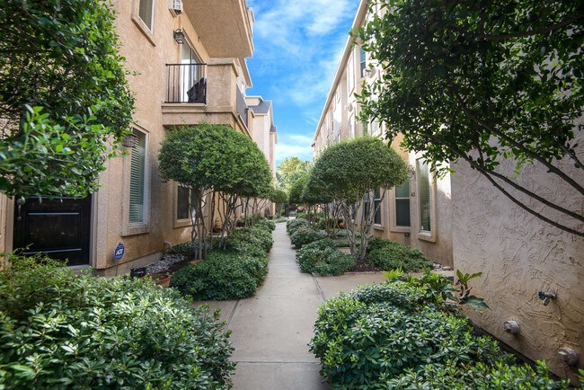 Building Photo - The Sorano Town Homes
