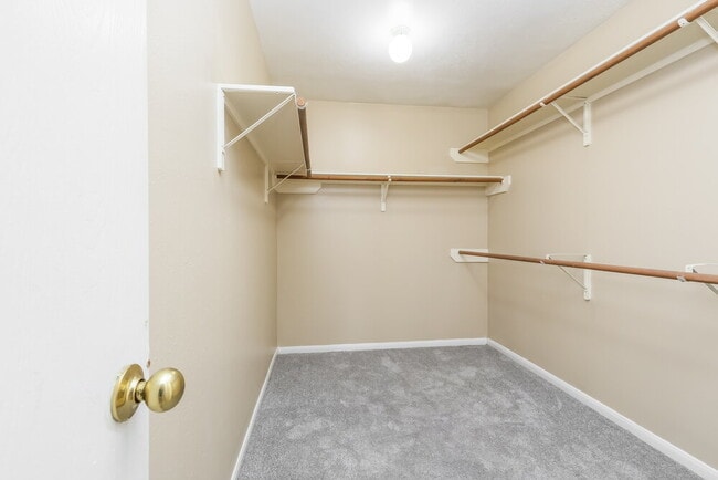Building Photo - 3015 Cinnamon Glen Dr