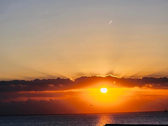 Building Photo - 1237 Hillsboro Mile