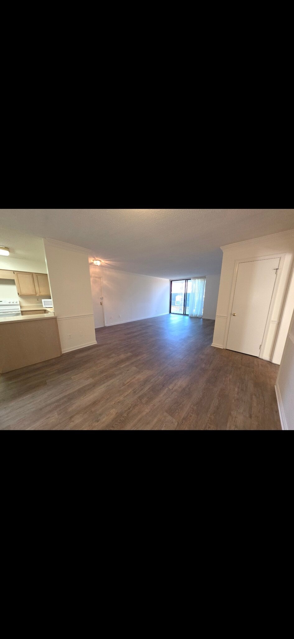 Dining Room/Living Room - 3115 Patrick Henry Dr