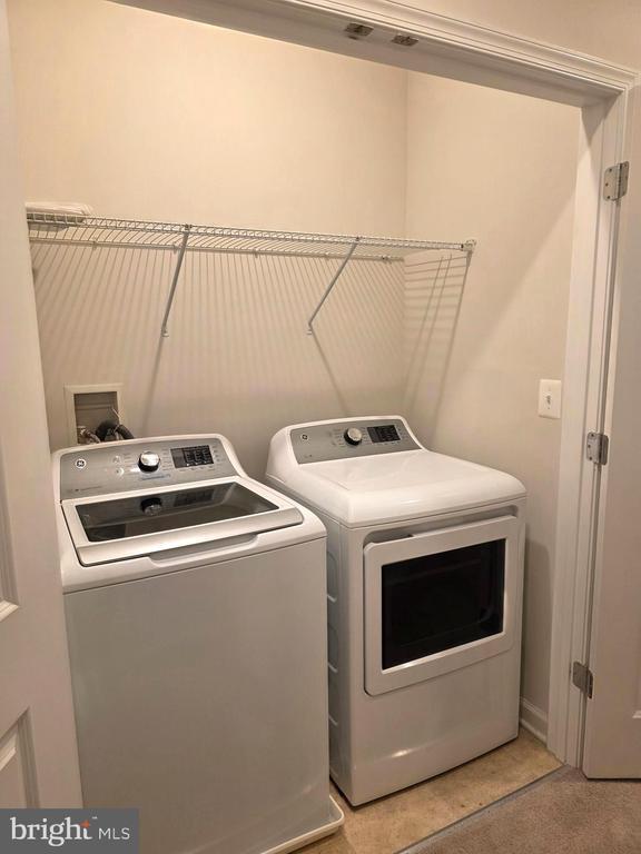 Building Photo - 311 Ibis Ct