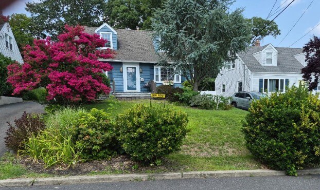 another front view w gorgeous tree - 114 Maple St
