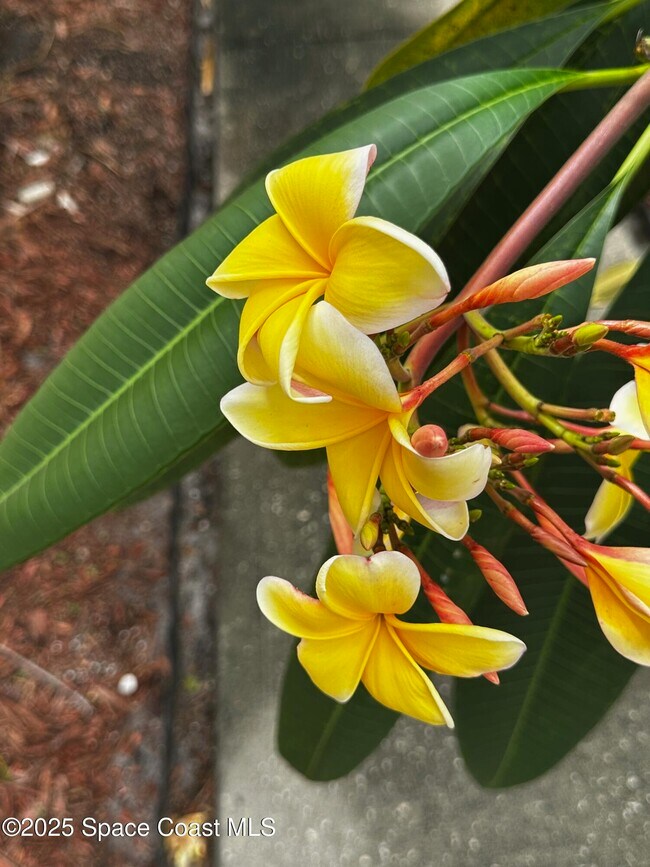 Building Photo - 2710 Park Pl Blvd