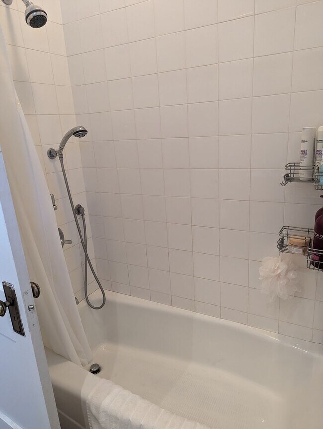 Building Photo - SEPTEMBER 1 Cambridge lovely 1 bedroom on Shepard Street