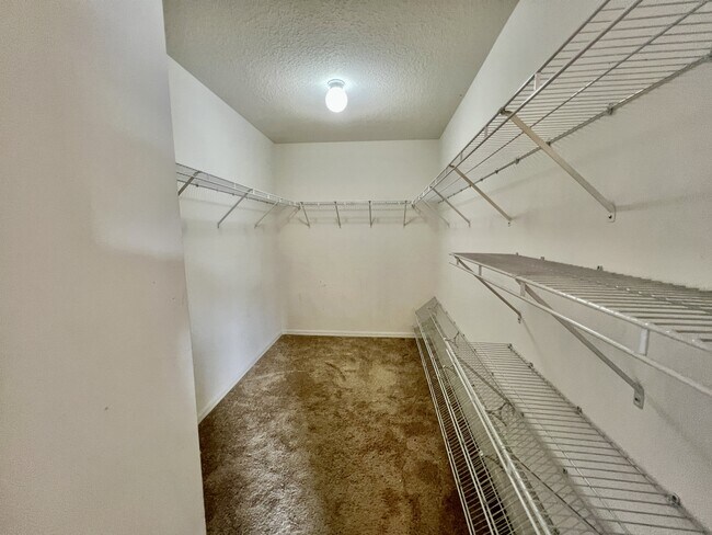 Building Photo - 10904 Summerton Dr
