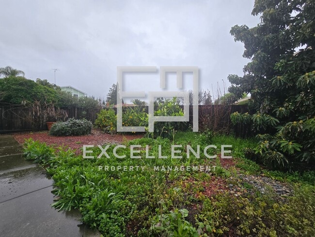 Building Photo - Spacious Fully Renovated 4/2 House with Over 2000SF and LVT Throughout