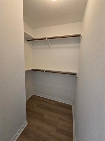 Building Photo - 2317 Bloomfield Dr