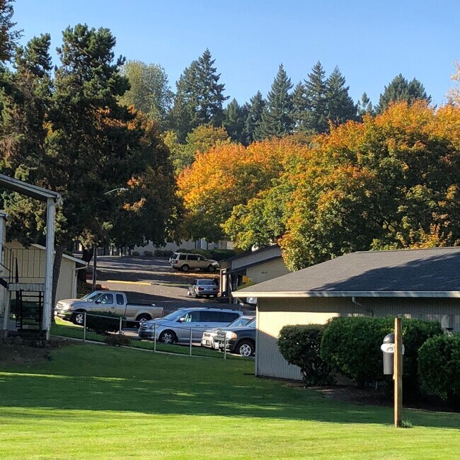 Building Photo - St. Johns 1 bedroom 1 bath in park-like setting.