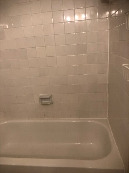 2nd Bath Tub - 3300 Pebblebrook Dr