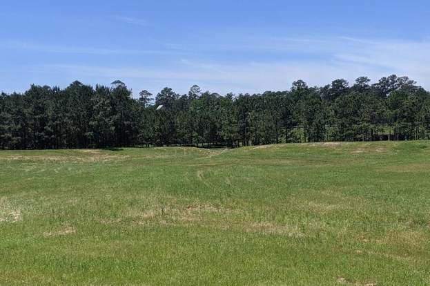 Building Photo - 1117 Cedar Trace Pl