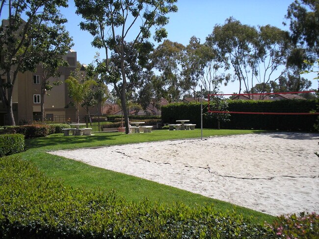 Sand Court - 3440 Lebon Dr