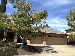 Building Photo - 1033 Halidon Way
