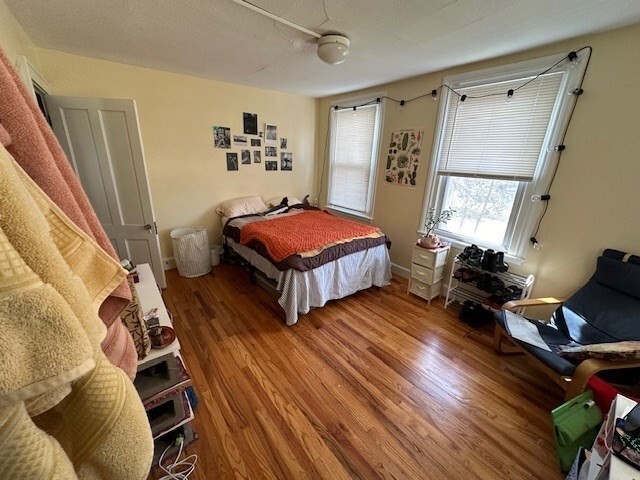 Building Photo - 68 Conz St