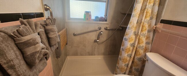 Grab bars and sunlight - 5914 Wilson Dr