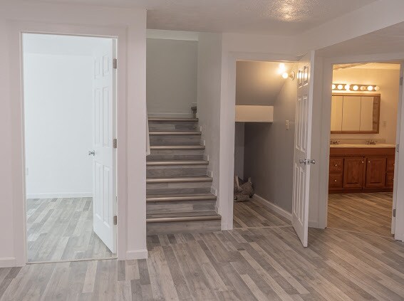 Building Photo - 1532 Venetian Way