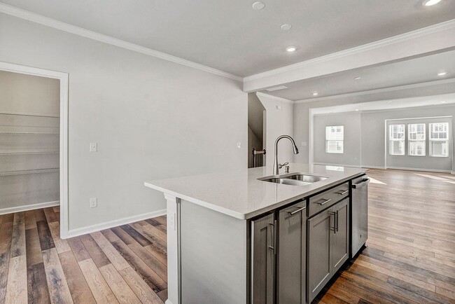 Building Photo - BRAND NEW TOWNHOME Available now, Depot 49...