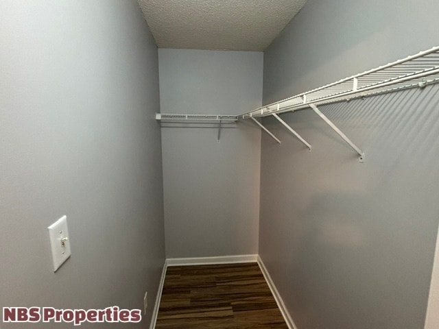 Building Photo - 8032 Stablegate Way