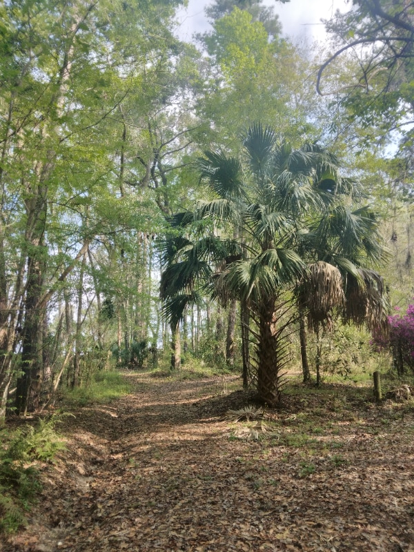 Building Photo - 8035 NW 120th St