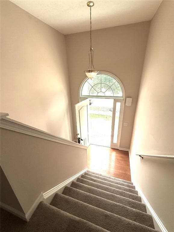 Building Photo - 3683 White Pine Rd