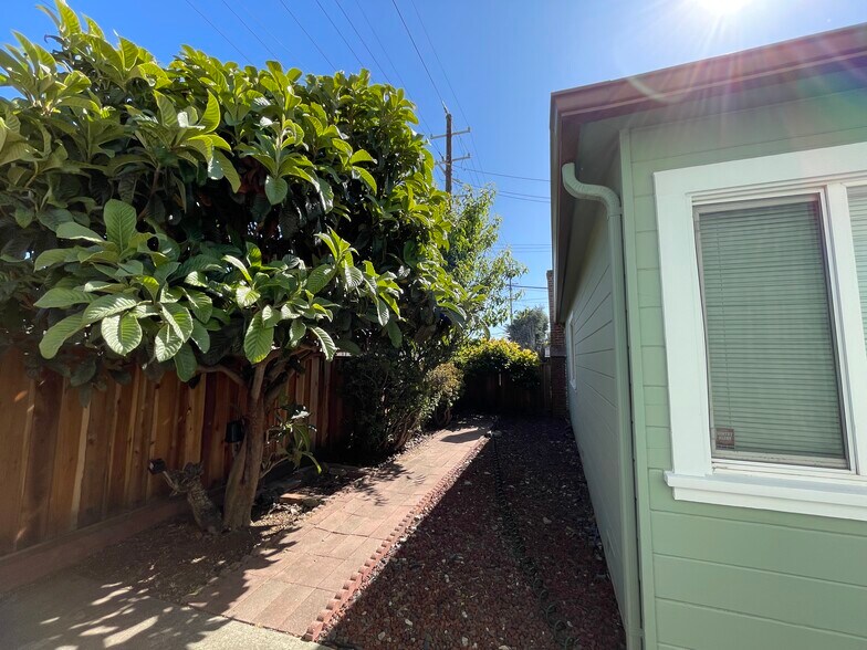 sideyard w/ fruit trees - 1200 Elm St