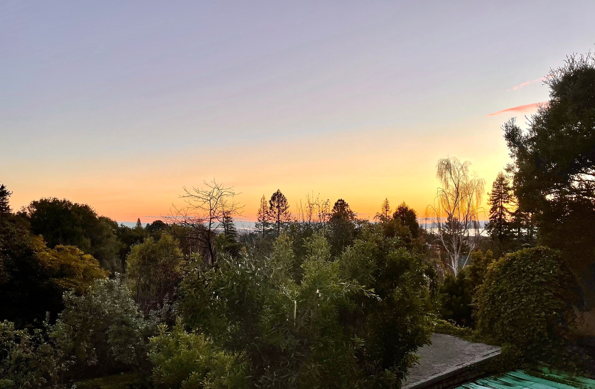 Dining Room View - 1216 Spruce St
