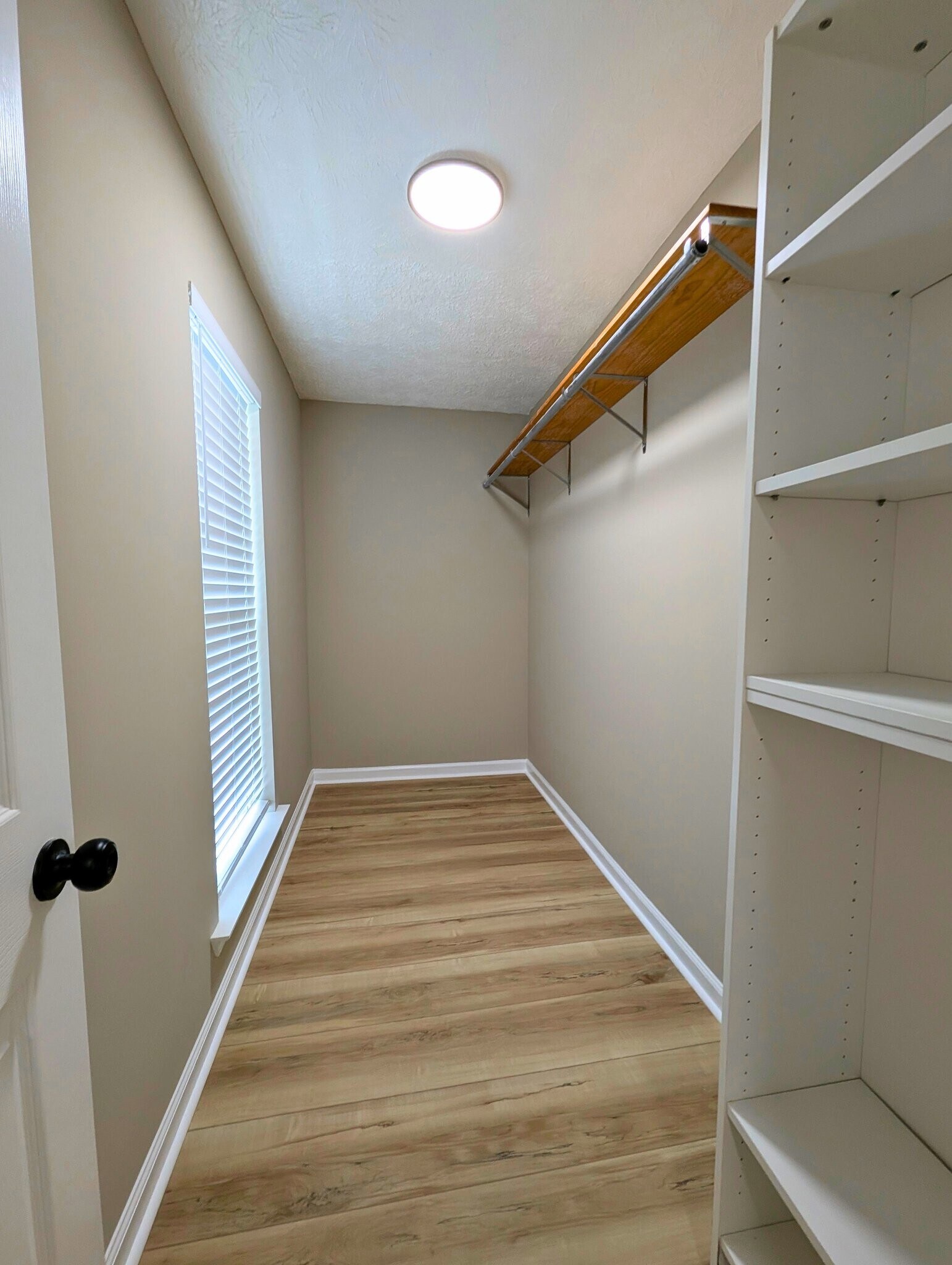 Building Photo - 223 S Springfield Dr