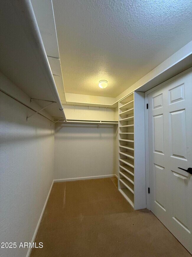 Building Photo - 12323 E Appaloosa Pl
