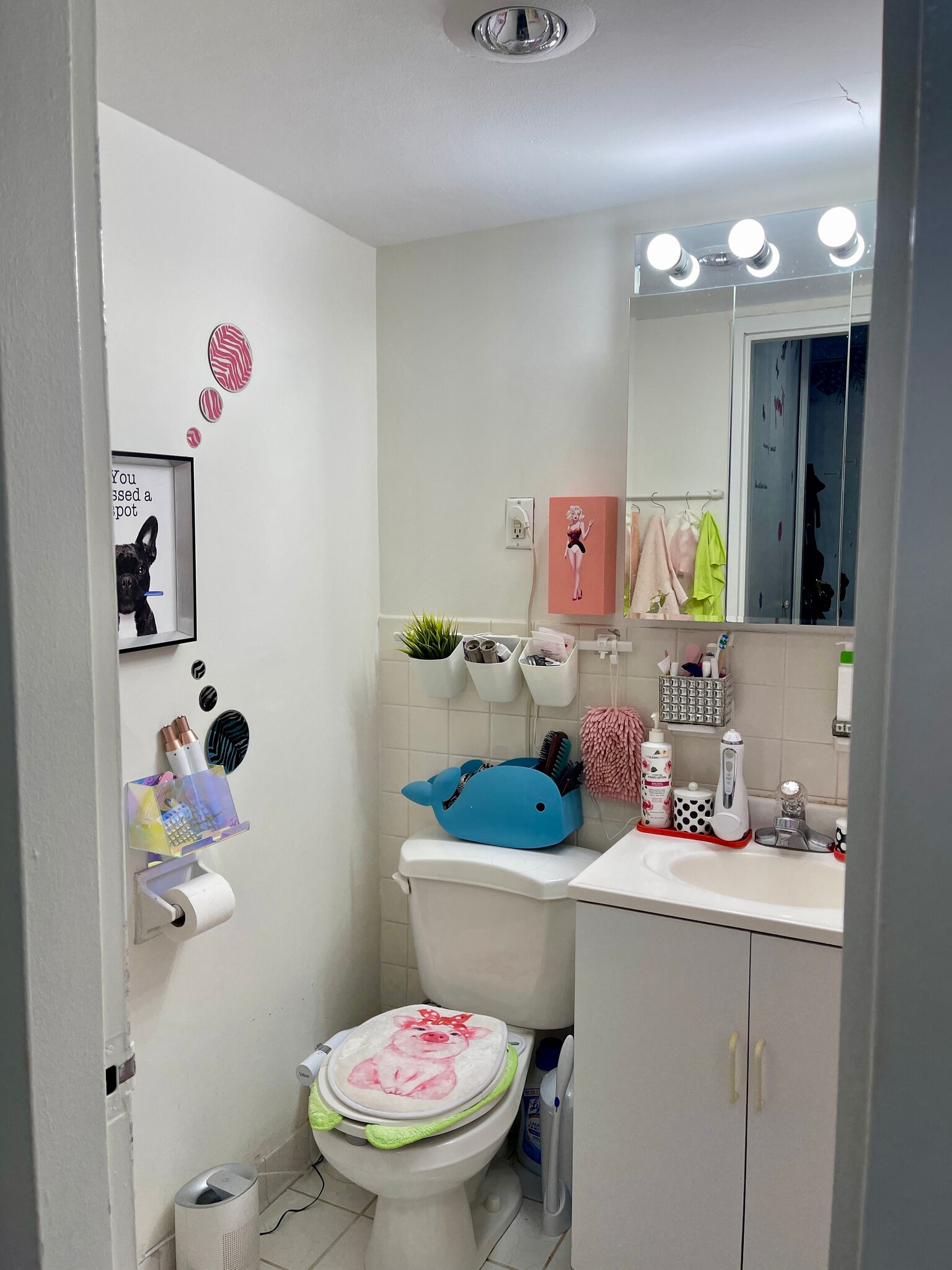 bathroom - 6 Whittier Plz