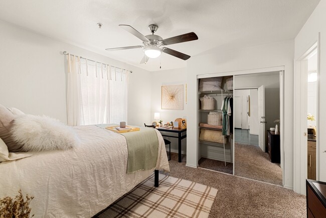 Building Photo - Lodge in San Marcos