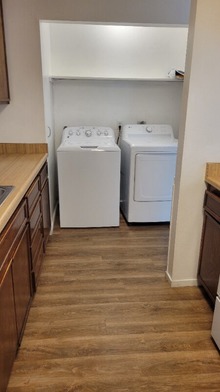 Building Photo - 1533 El Tigre Ct