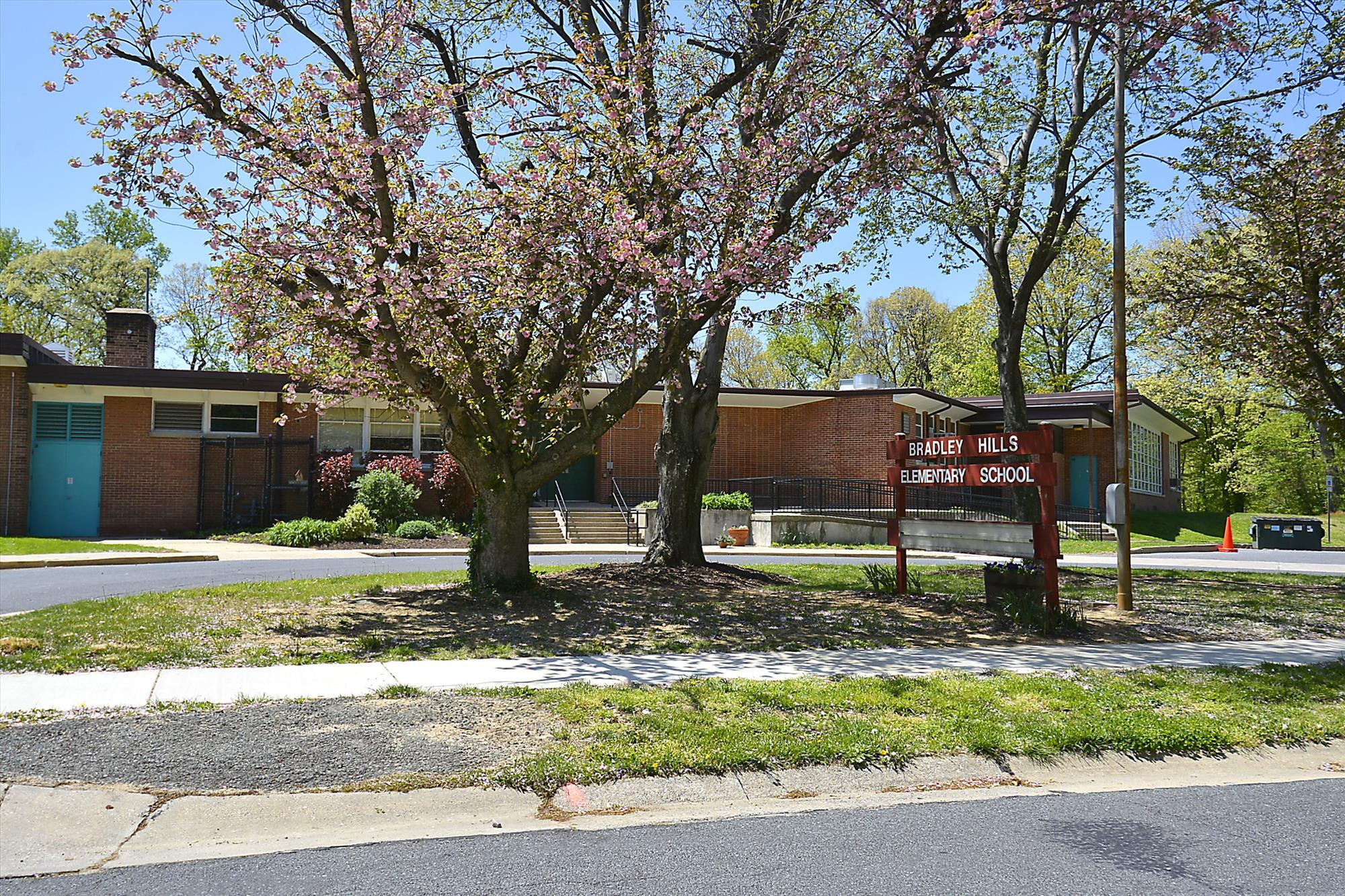 Building Photo - 10703 Hampton Mill Ter