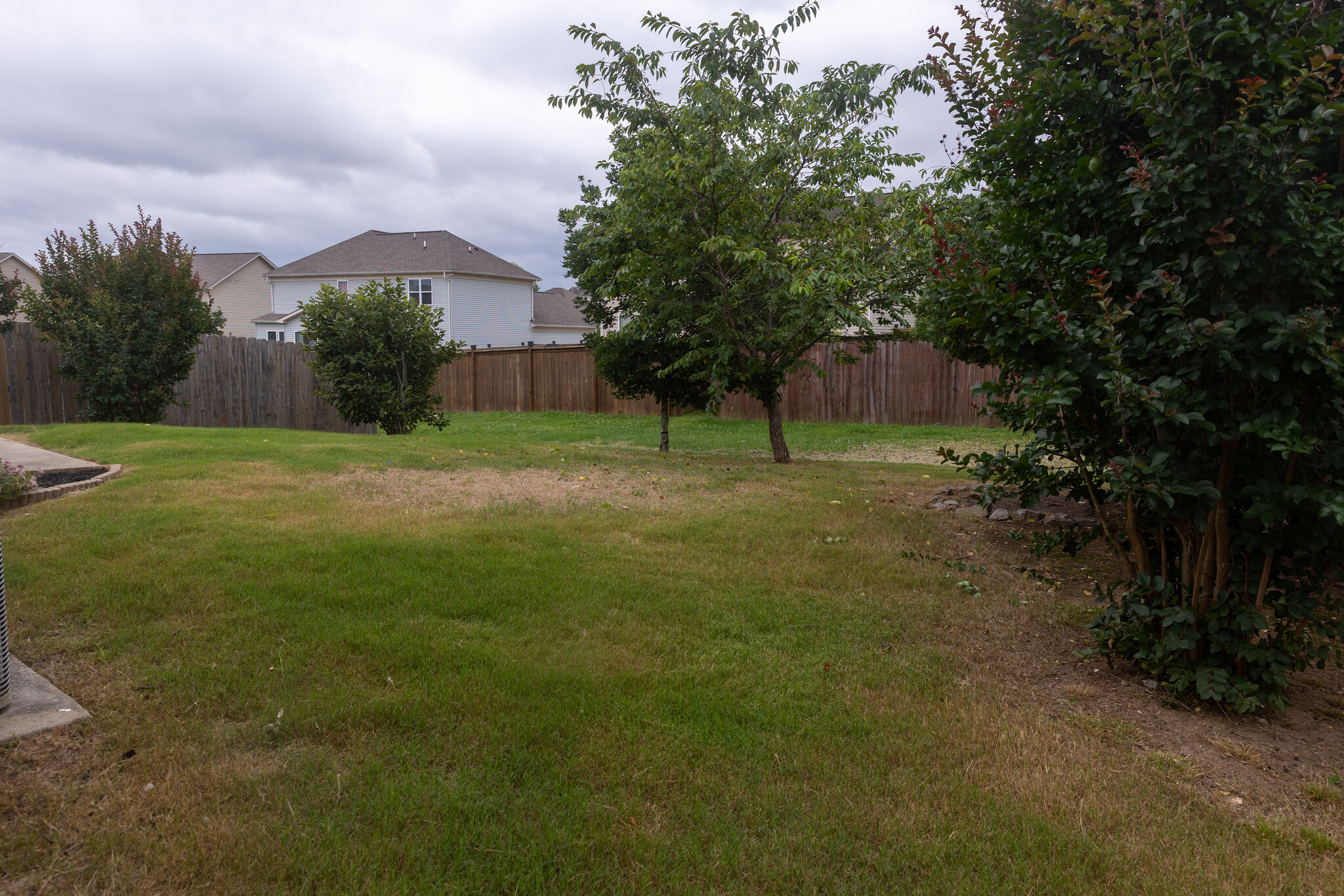 Backyard - 644 Pemberton Dr