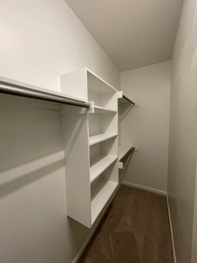 Building Photo - 407 Newport Meadows Cir