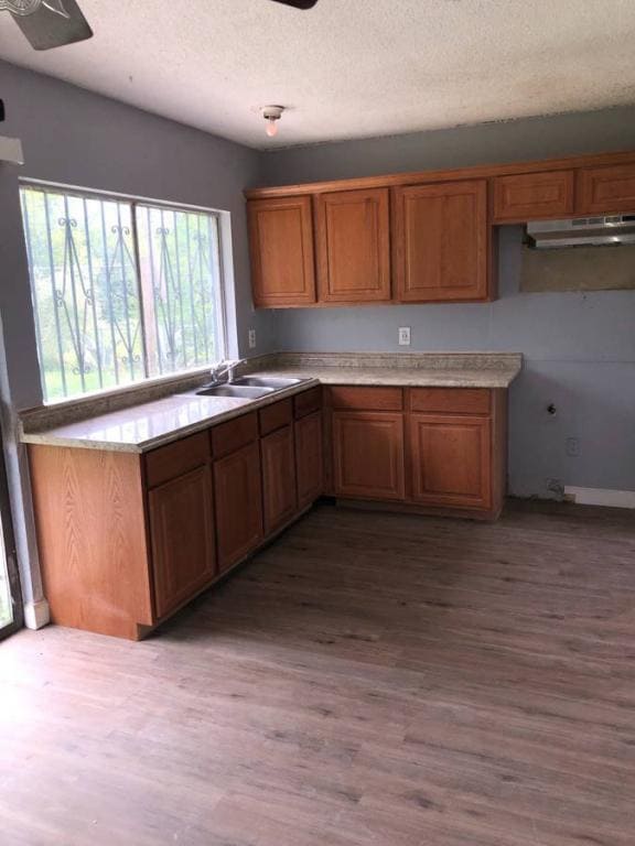 Building Photo - 5218 War Horse Dr