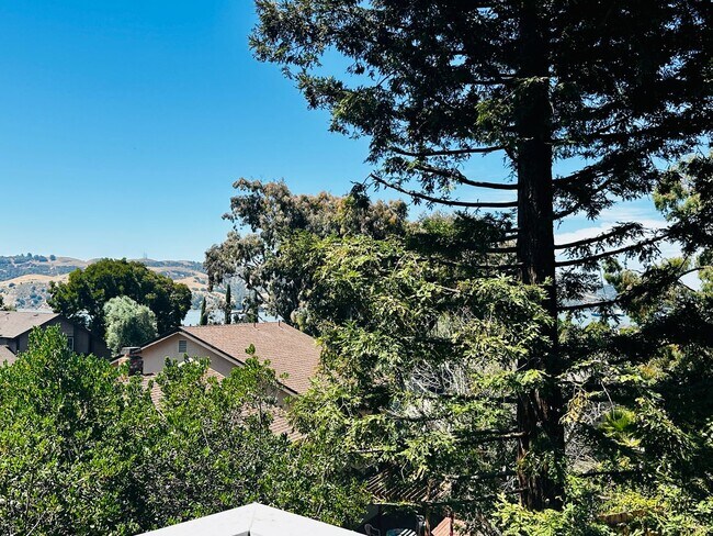 Building Photo - Bridgeview top floor condo with tree top w...