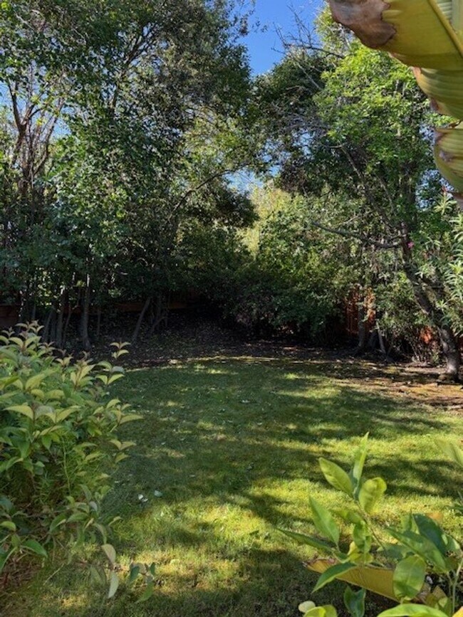 Building Photo - Beautiful 4 Bedroom 2.5 Bath Home in Montevideo Community