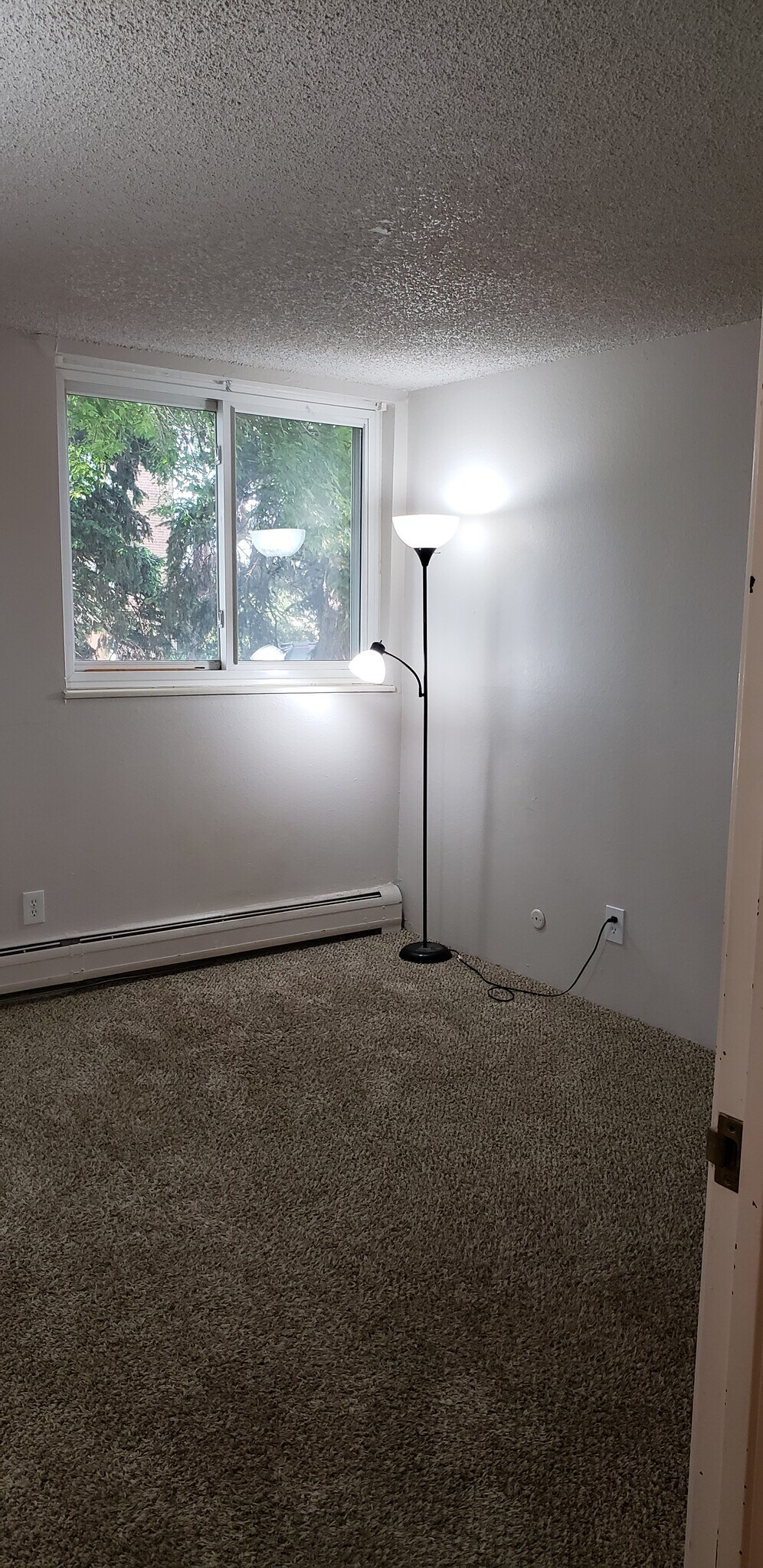 Bedroom 1 - 451 Golden Cir