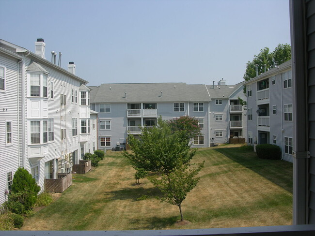 Building Photo - Constellation Sq Condo