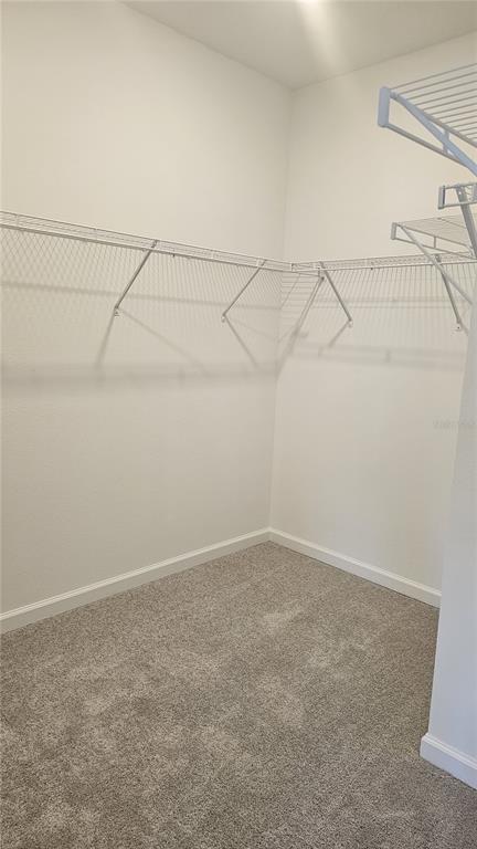 Building Photo - 2739 Skyline Lp