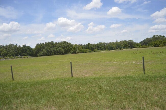 Building Photo - 2447 Rio Grande Valley Ct