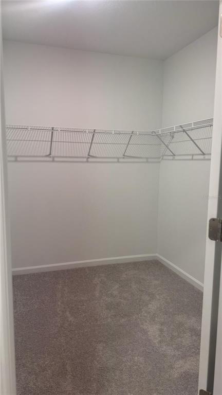 Building Photo - 2217 Rock Dr