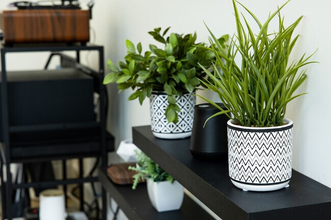 Building Photo - 507 S Park Dr