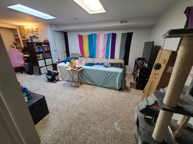 Bonus Room (basement) - 476 E Acoma Rd