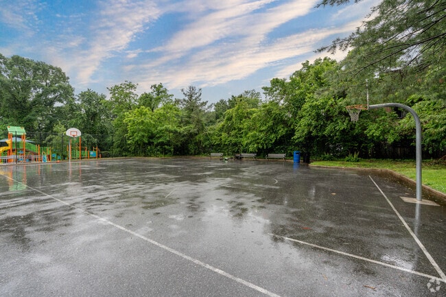 Basketball Court - Skyline Apartments