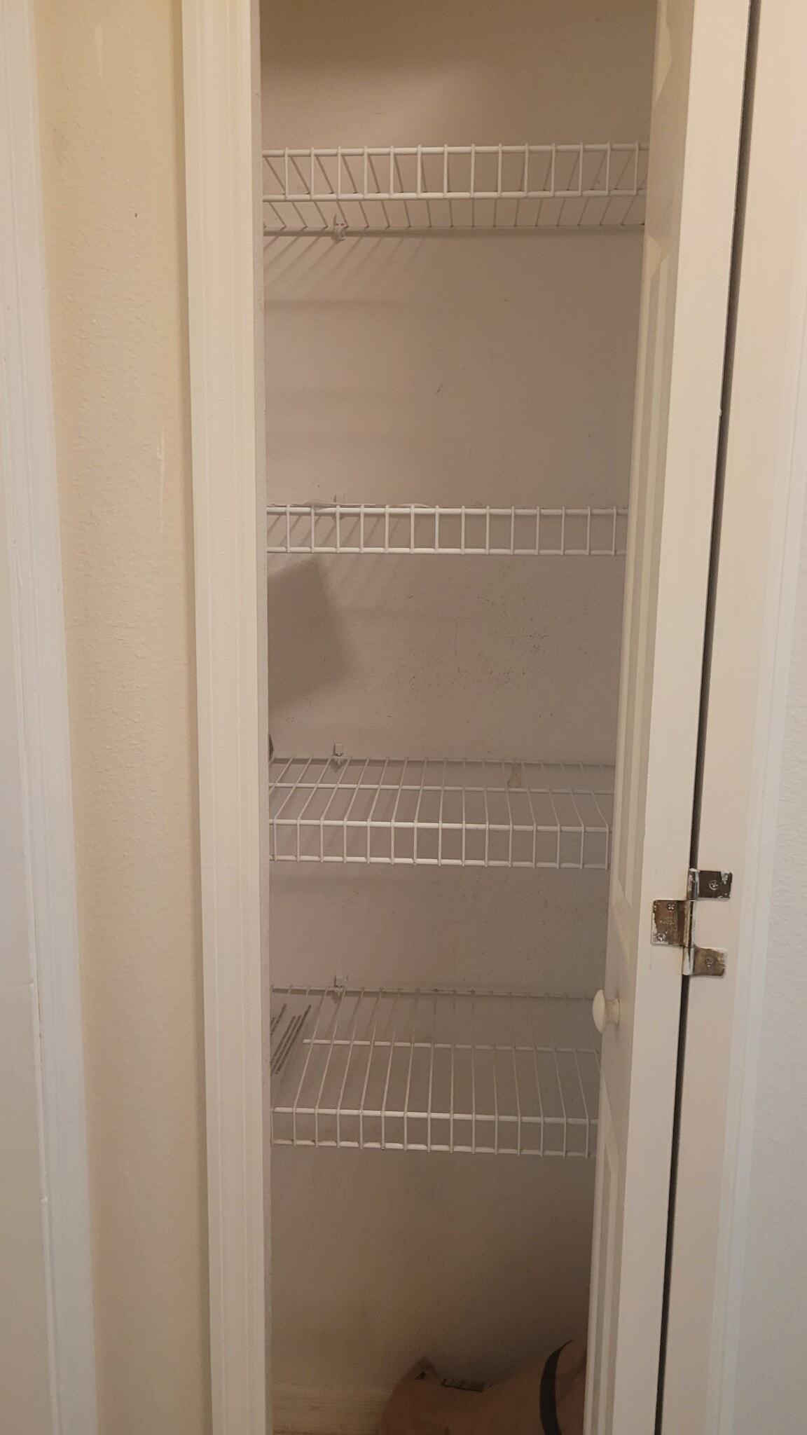 Pantry Inside - 106 Woodbury Pines Cir