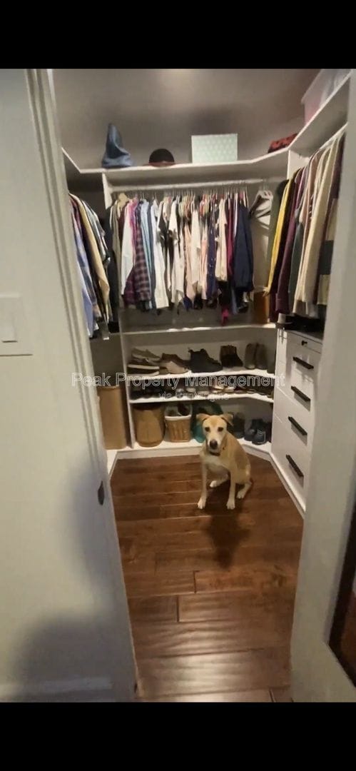 Building Photo - 2107 Persimmon Trek