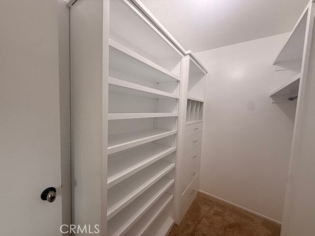 Building Photo - 28058 Braidwood Dr