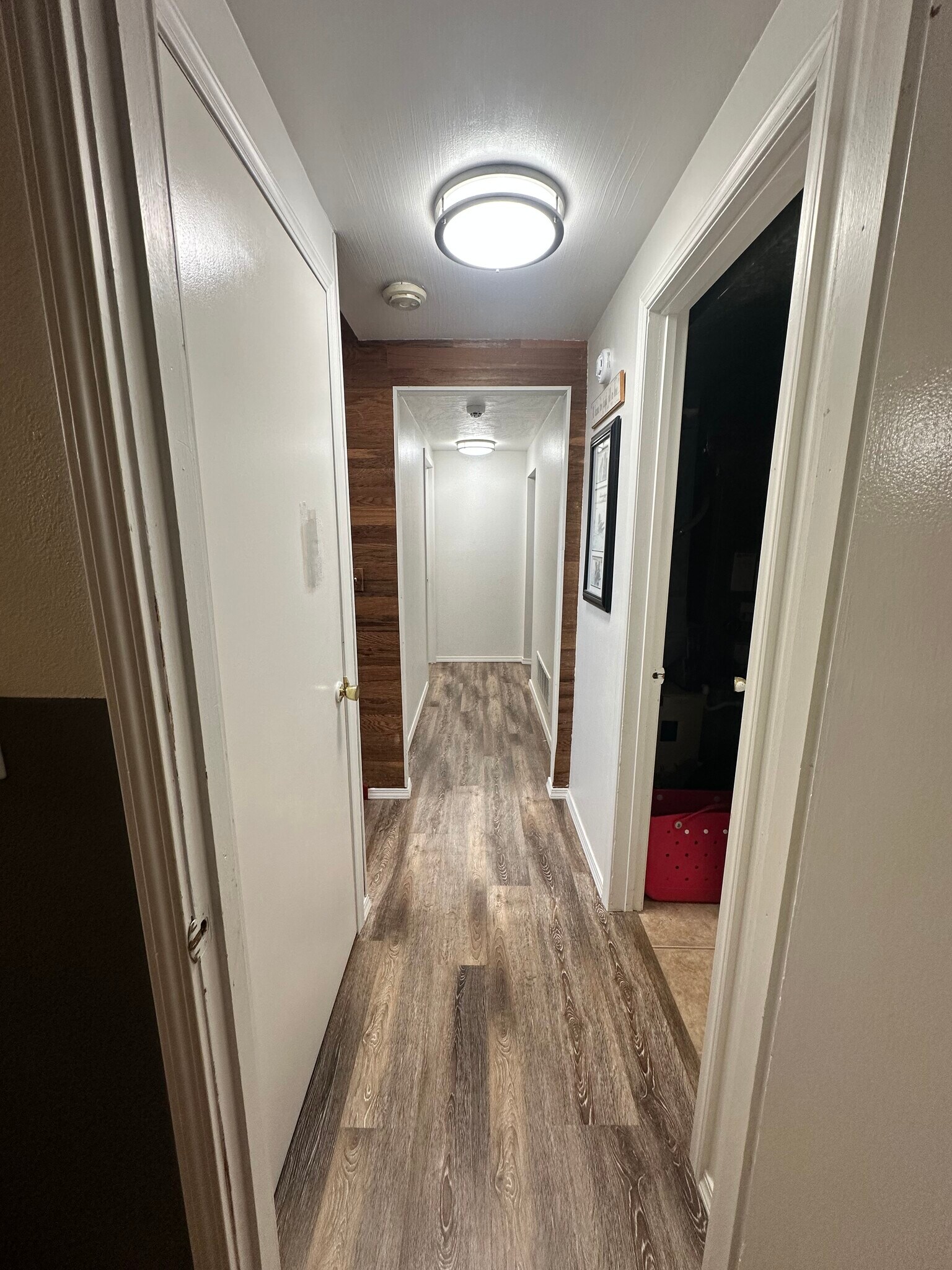 Hallway downstairs - 219 Thayer Dr