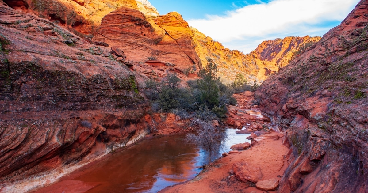 Snow Canyon State Park—4-Minute Red-Rock Playground - 1500 E Split Rock Dr