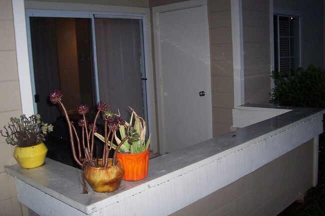Building Photo - Beautiful 3 Bedroom 2 Bathroom Condo Cats ...